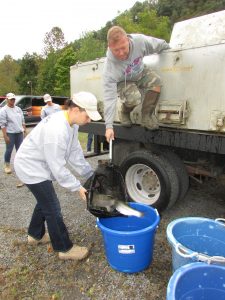 Cheat River stocked with rainbow trout